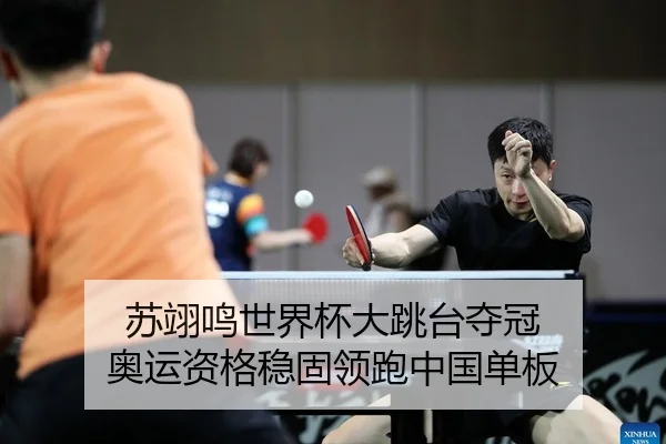 su-yi-ming-shi-jie-bei-da-tiao-tai-duo-guan-ao-yun-zi-ge-wen-gu-ling-pao-zhong-guo-dan-ban-2-905.jpg